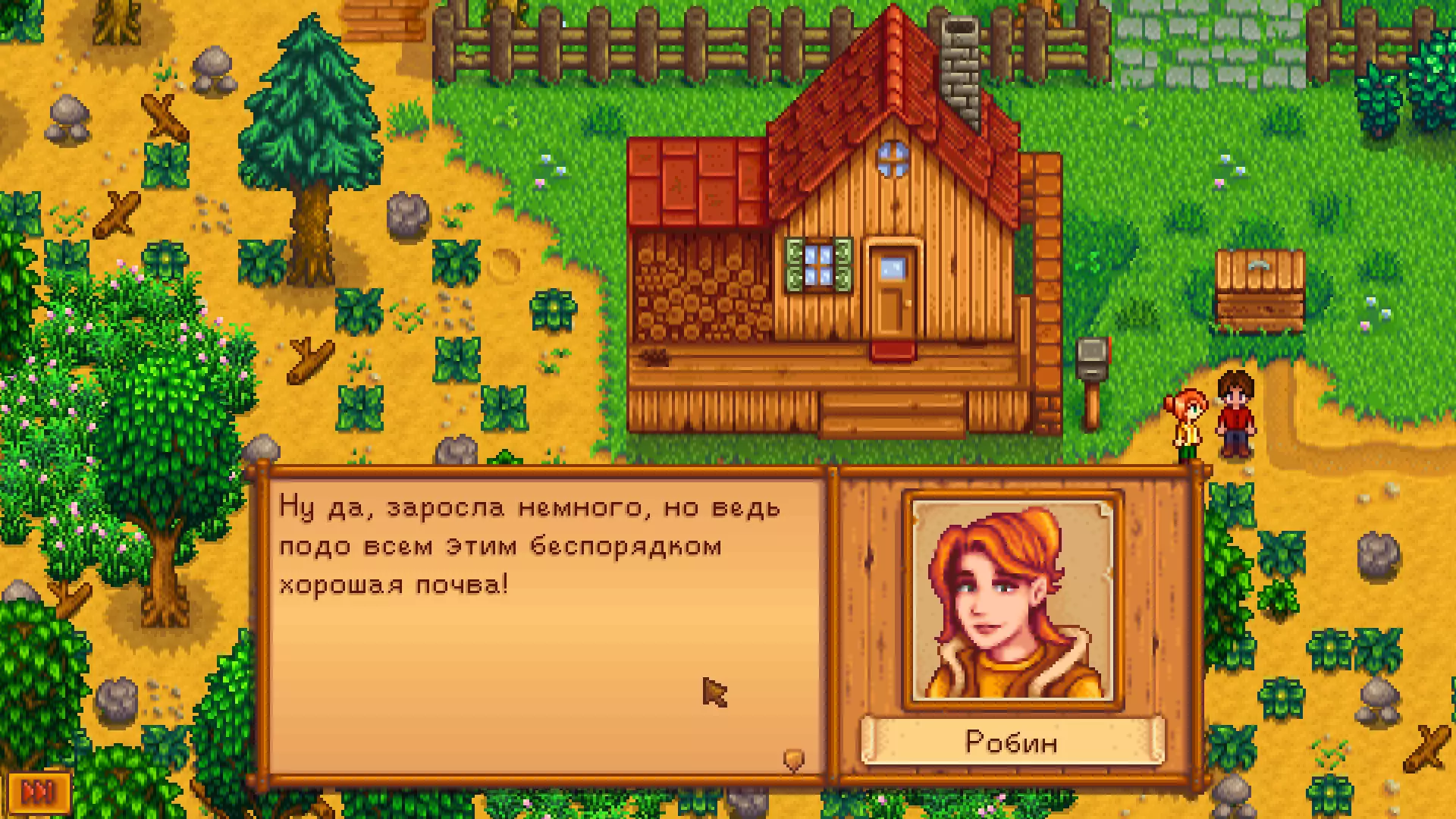 SMAPI Stardew Valley