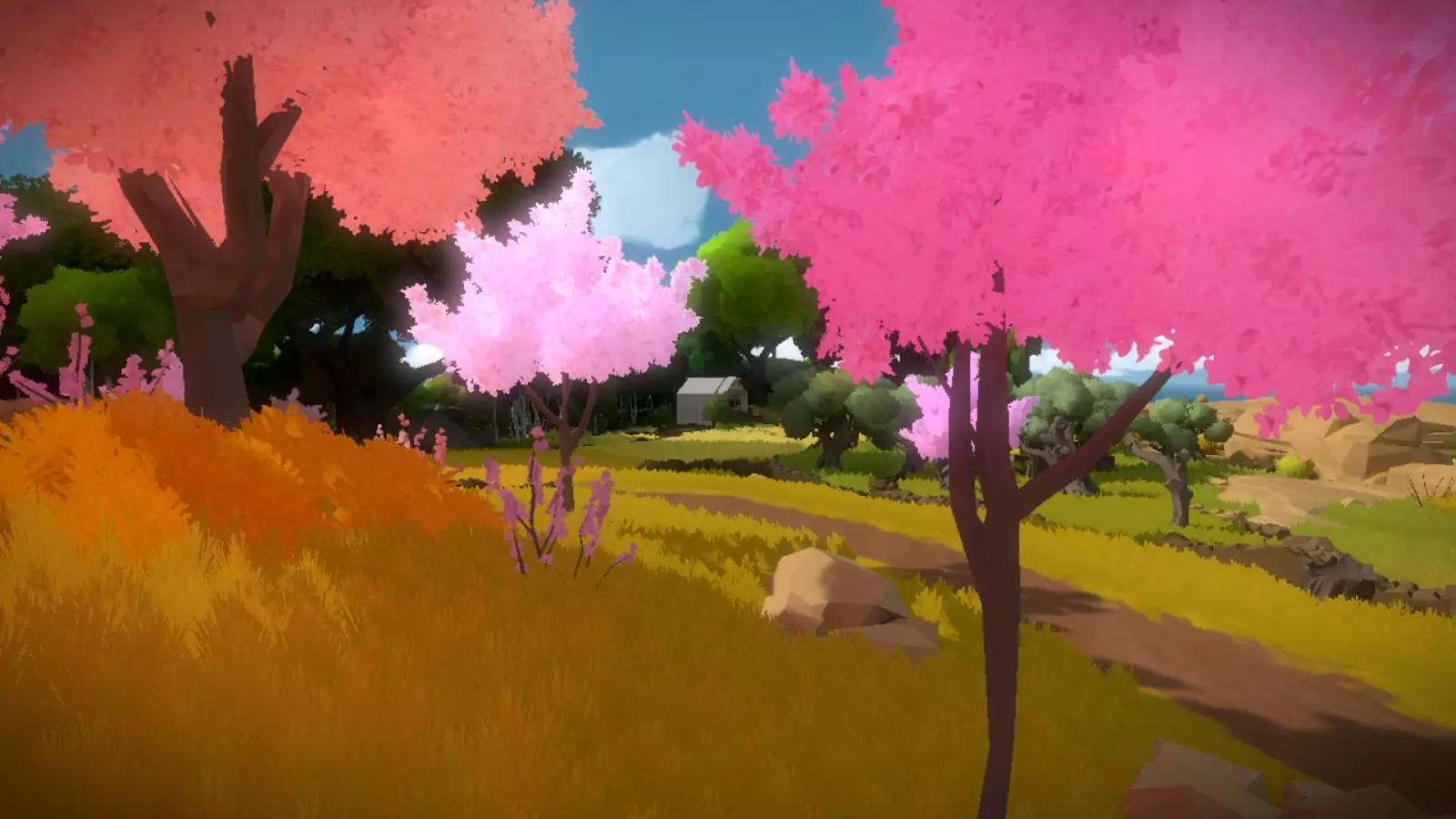 The Witness Full APK