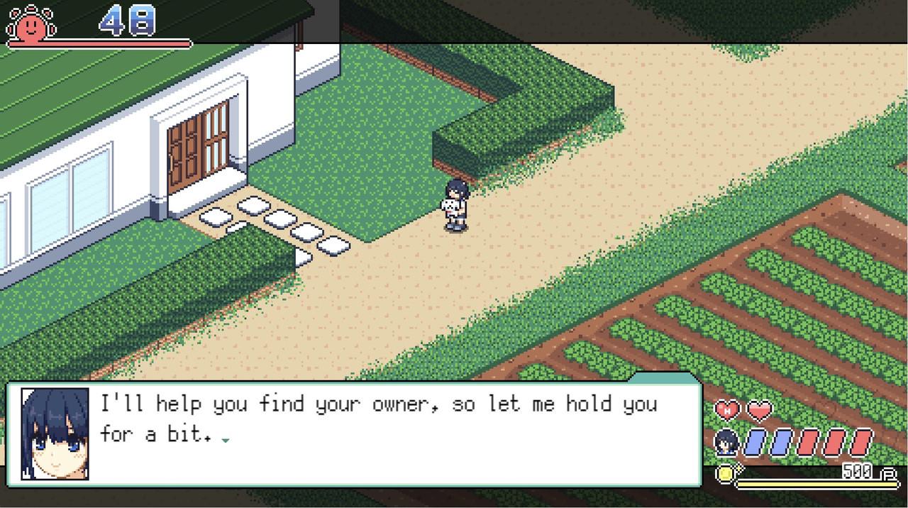 Natsu's Lost Items APK