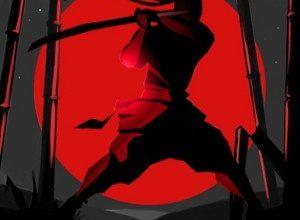 SolohaPlay Shadow Fight 2