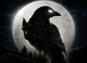 Night Crows