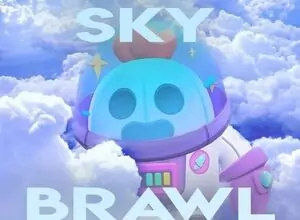 Private Sky Brawl 55.236