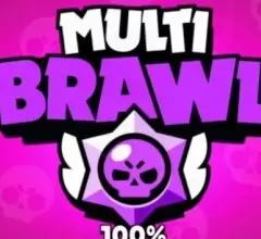 Private MT Brawl 55.236