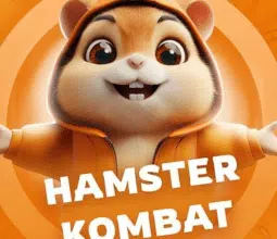 New Combo Cards in Hamster Kombat